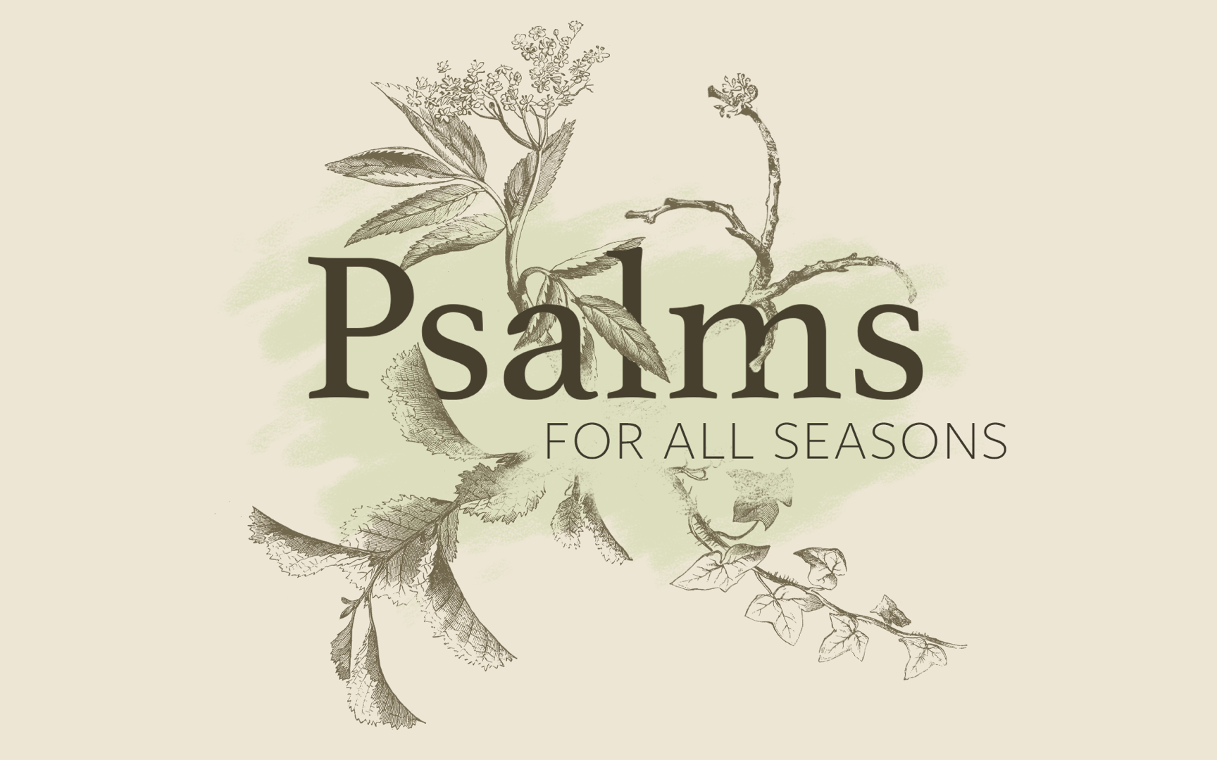 Psalm 146 Logos Sermons psalm-146-logos-sermons
