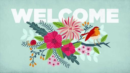 Life Has Sprung - Welcome