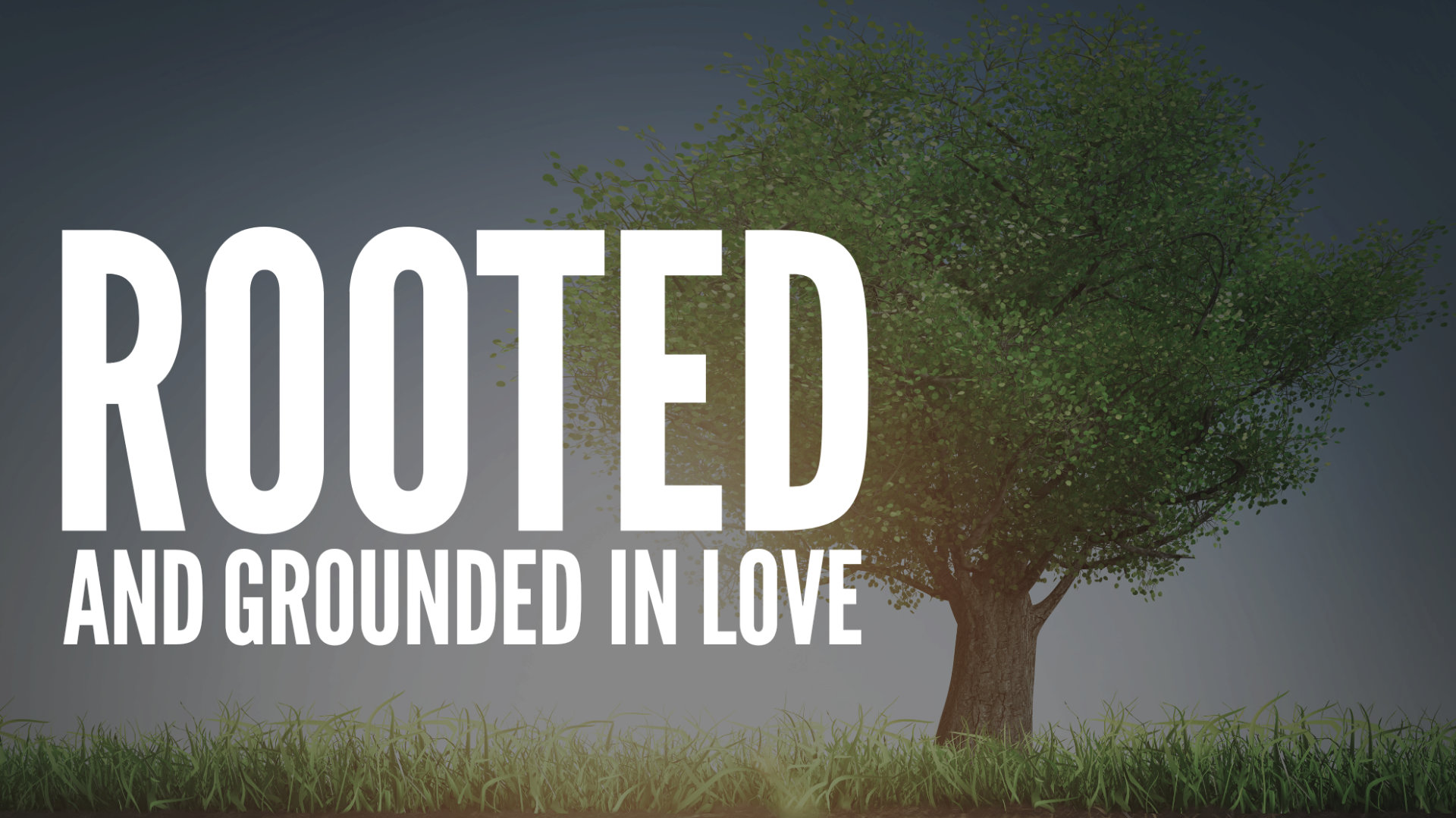 Rooted and Grounded in Love - Logos Sermons