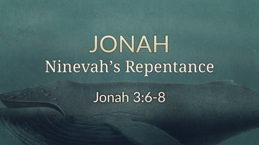 Jonah 3:6-8 Ninevah's Response