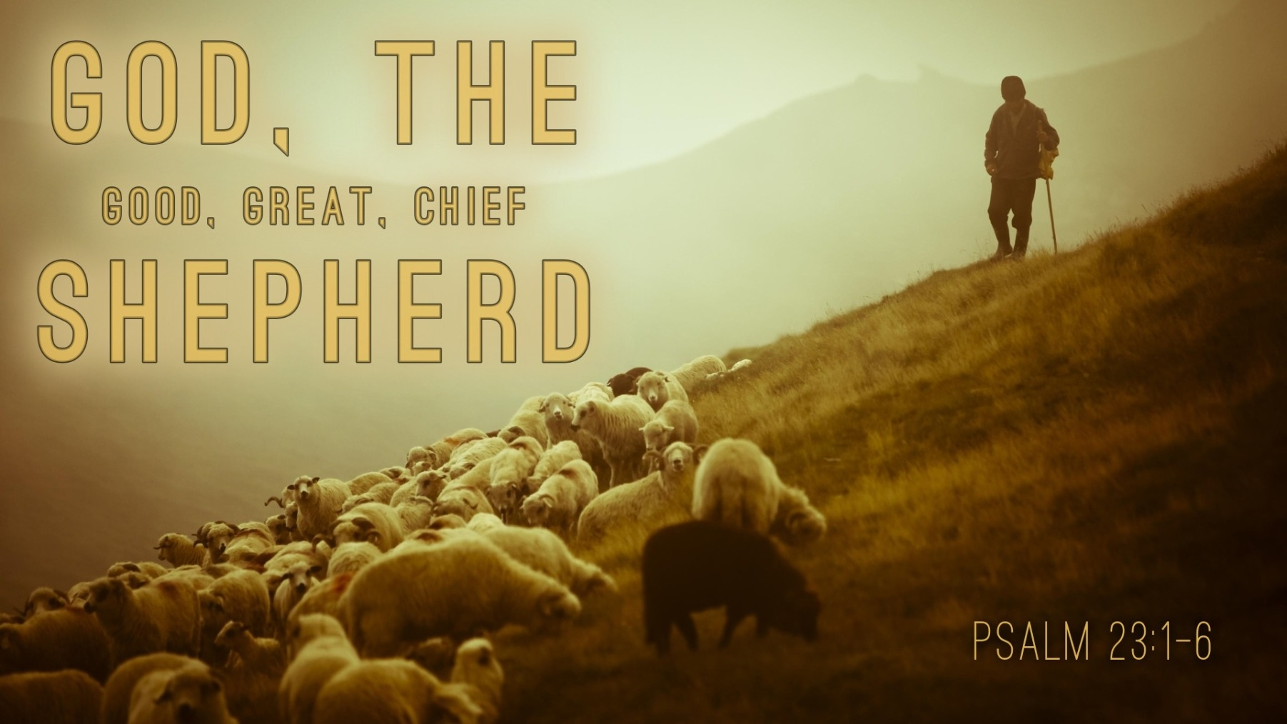 03 God The Good Great Chief Shepherd 01 20 19 Faithlife