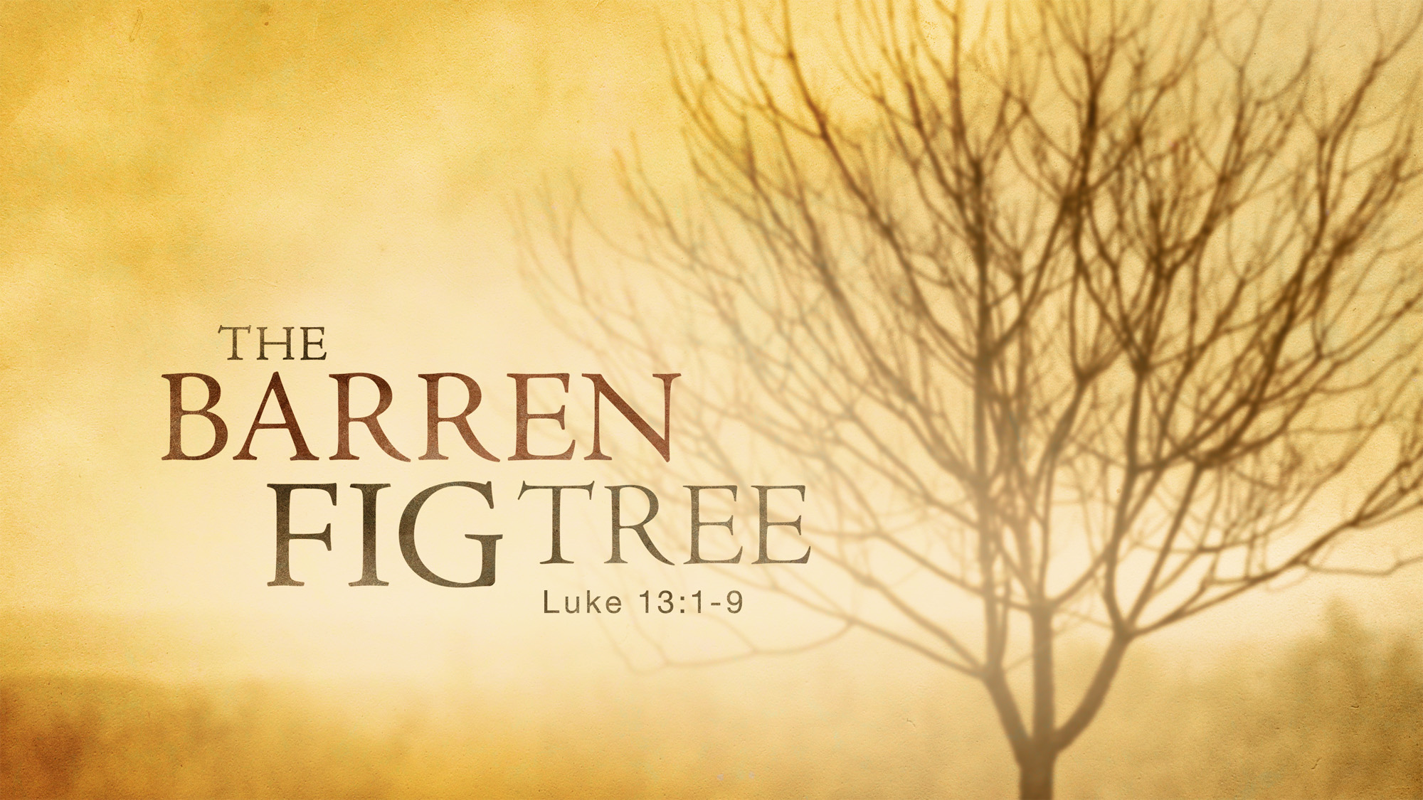 Luke 13:1-9 The Barren Fig Tree - Faithlife Sermons