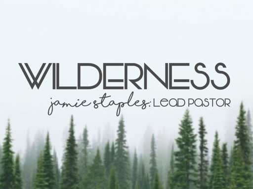 The Wilderness--The Spirit Sends