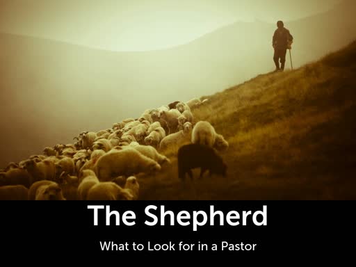 What to Look for in a Pastor