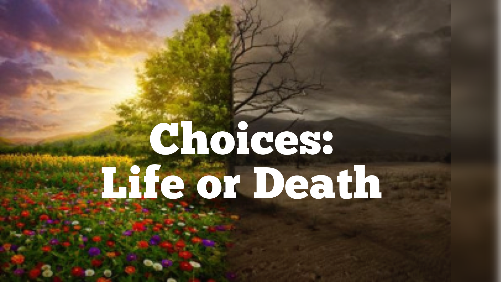 Life Or Death Meaning In English