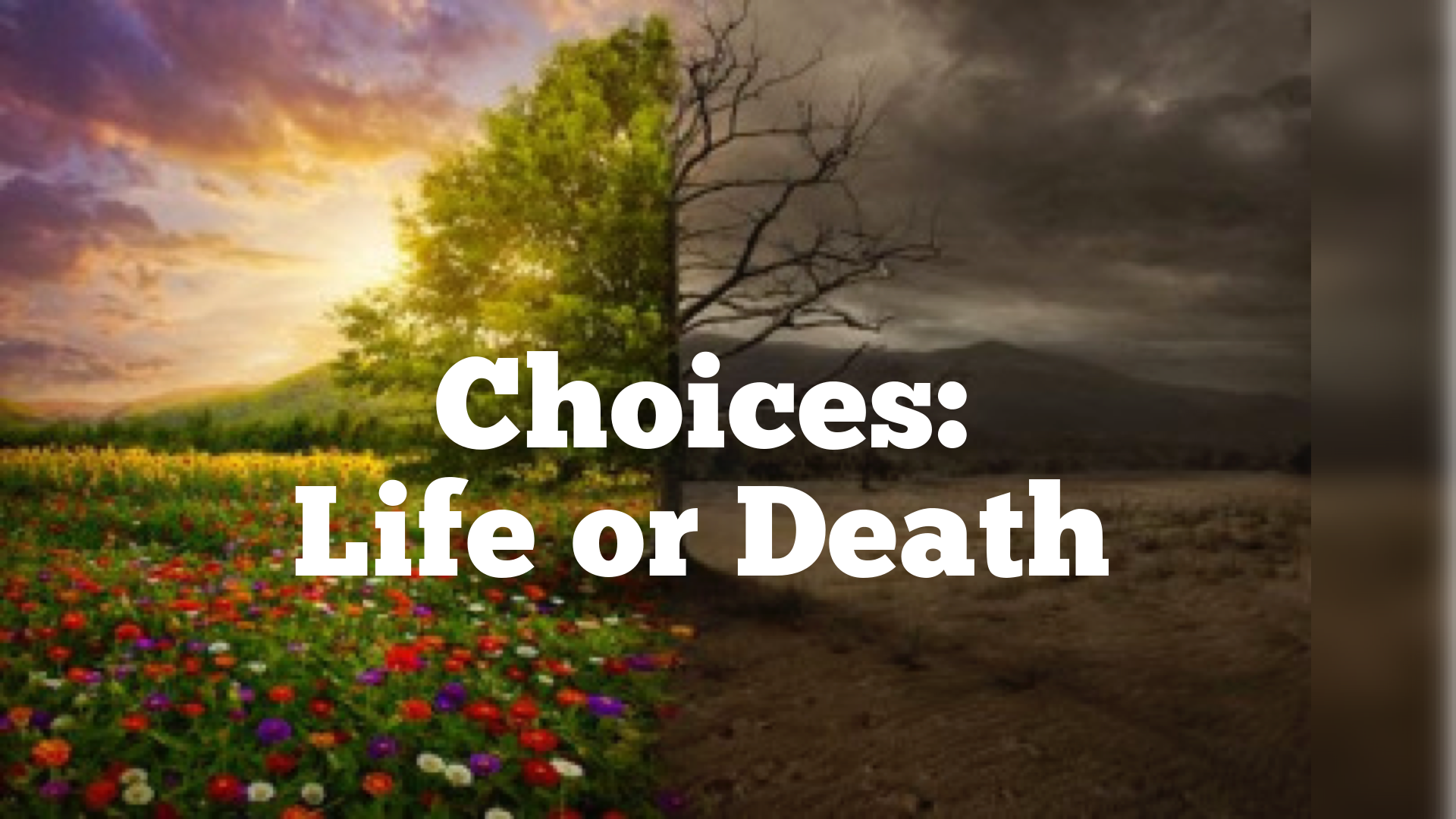 Life or Death Faithlife Sermons