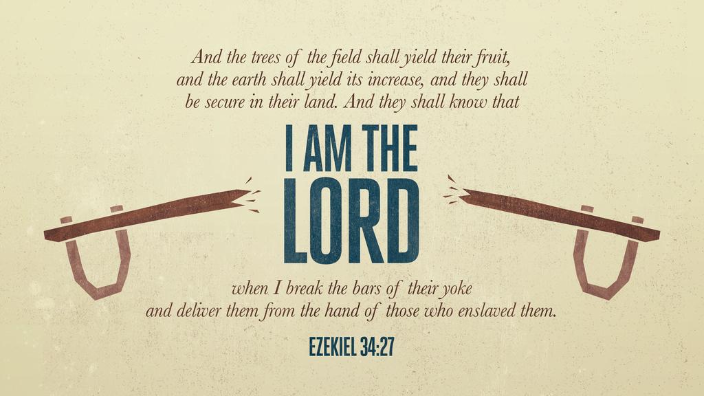 Ezekiel 34:27 large preview