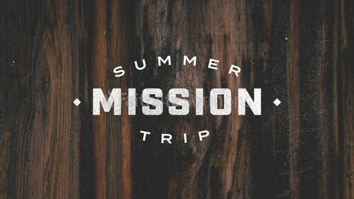 Summer Missions Trip Wood