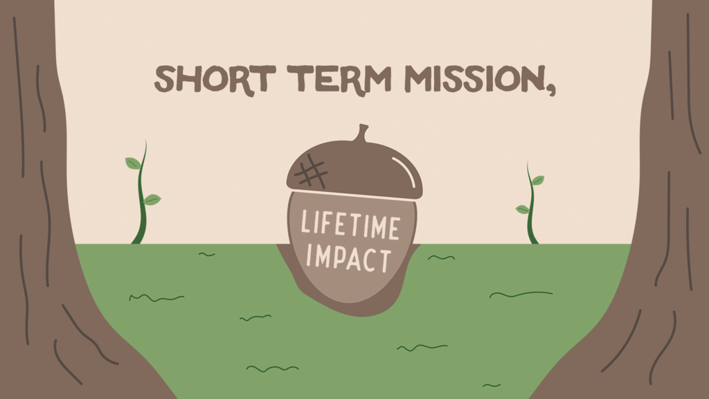 Short Term Mission Lifetime Impact large preview
