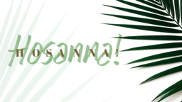 Hosanna Hosanna Palm  PowerPoint image 1