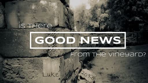 Is There Good News From the Vineyard?
