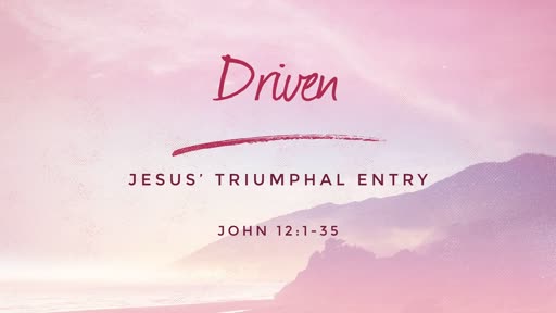 John 12:1-35 // Driven