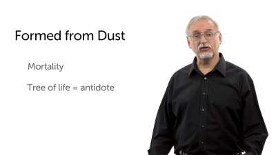 Formed from Dust