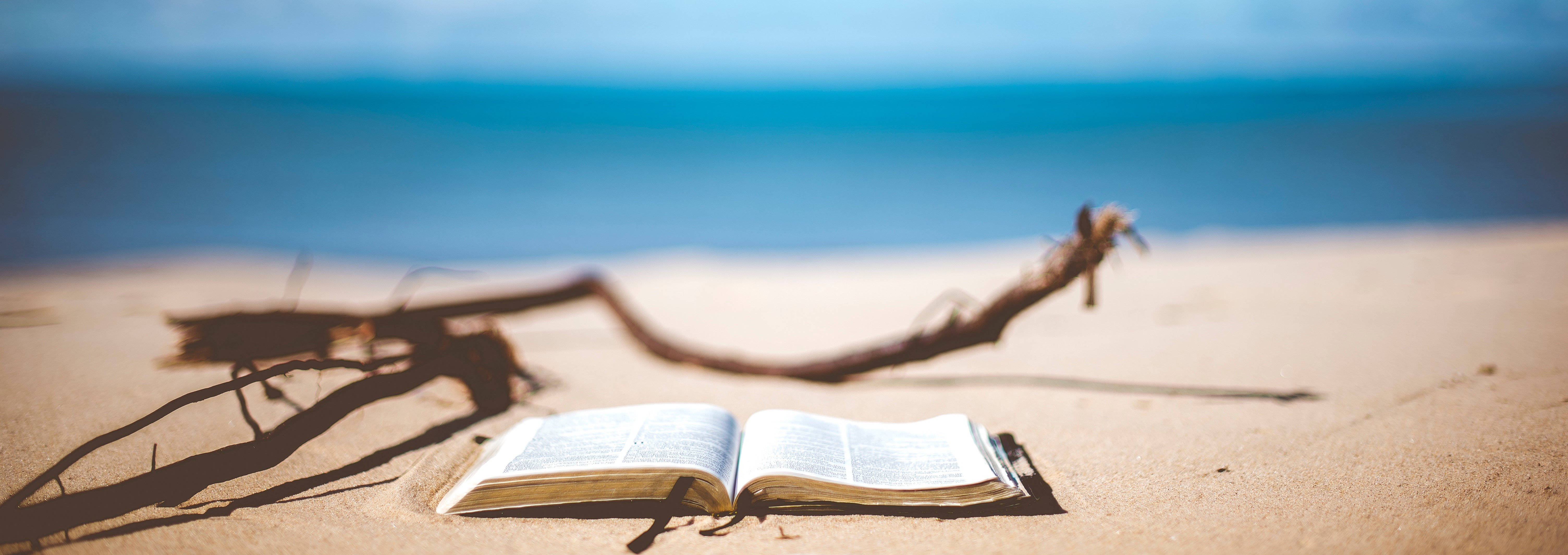 Bible (2)