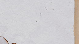 Live It  PowerPoint image 2