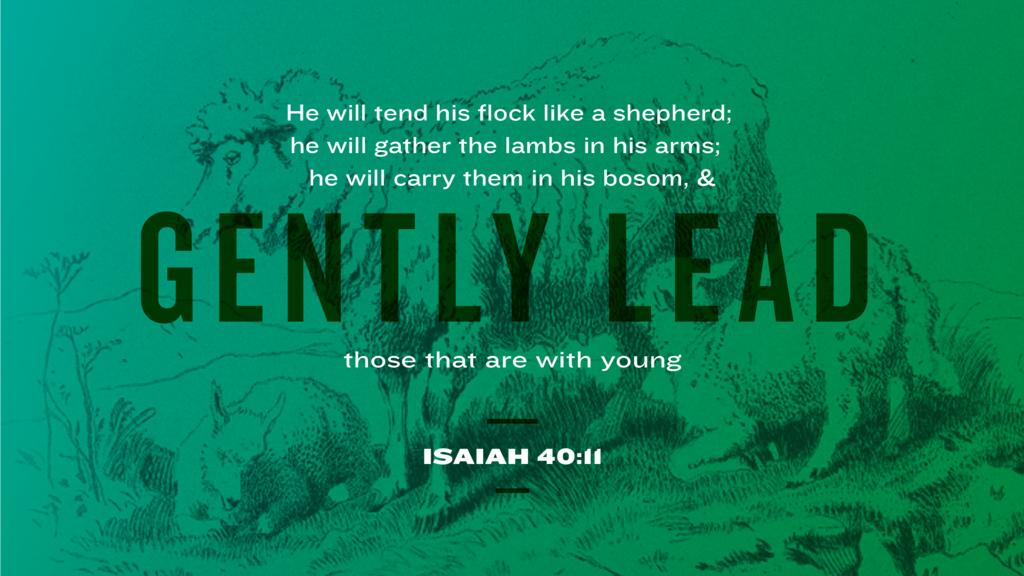 Isaiah 40:11 large preview