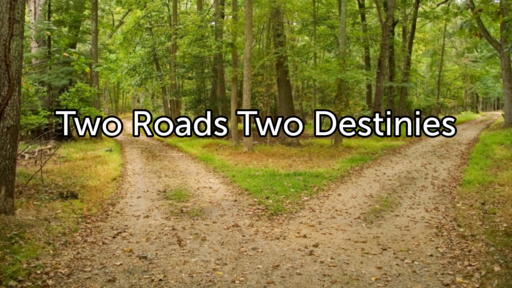 Two Roads Two Destinies