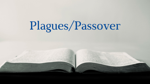 Plagues/Passover
