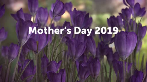 Mother's Day 2019