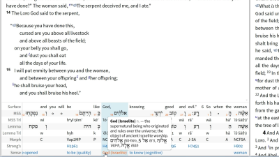 Determining the Meaning of Elohim with the Bible Sense Lexicon