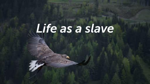 Life as a slave