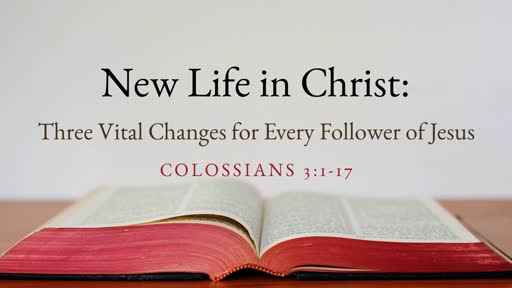New Life in Christ: Three Vital Changes for Every Follower of Jesus