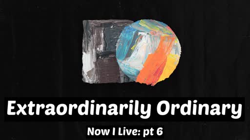 Extraordinary Ordinary - Stephen