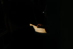 Man Reading the Bible  image 2