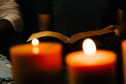 Woman Reading the Bible  image 1