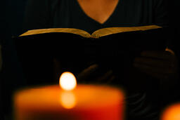 Woman Reading the Bible  image 2