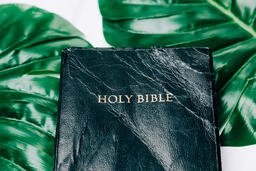 Holy Bible between Tropical Leaves  image 3