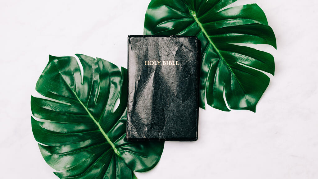 Holy Bible between Tropical Leaves large preview