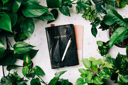 Holy Bible Surrounded by Foliage  image 2