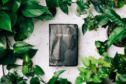 Holy Bible Surrounded by Foliage  image 1