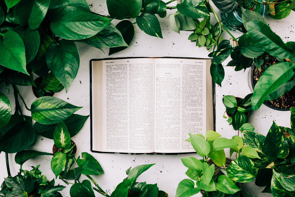 Open Bible Surrounded by Foliage large preview