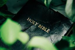 Holy Bible Surrounded by Foliage  image 1