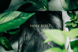 Holy Bible Surrounded by Foliage  image 5