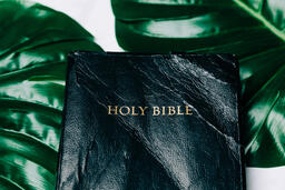 Holy Bible Surrounded by Foliage  image 2