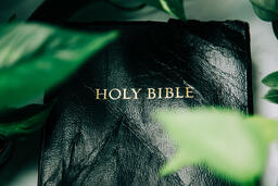 Holy Bible Surrounded by Foliage  image 4