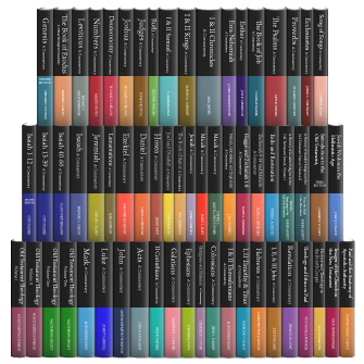 The Old and New Testament Library Series (OTL/NTL), 62 Volumes