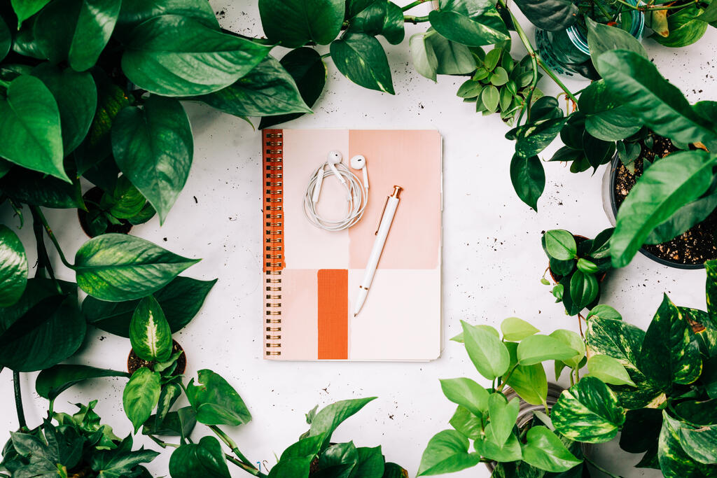 Notebook Surrounded by Foliage large preview