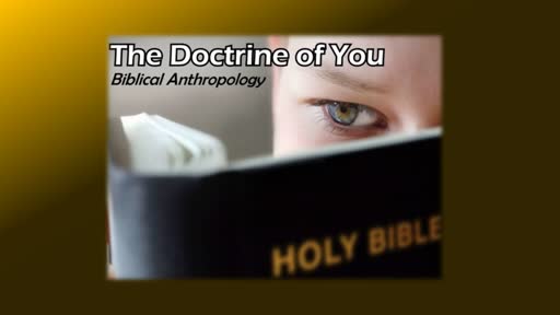 The Doctrine of You Pt 1