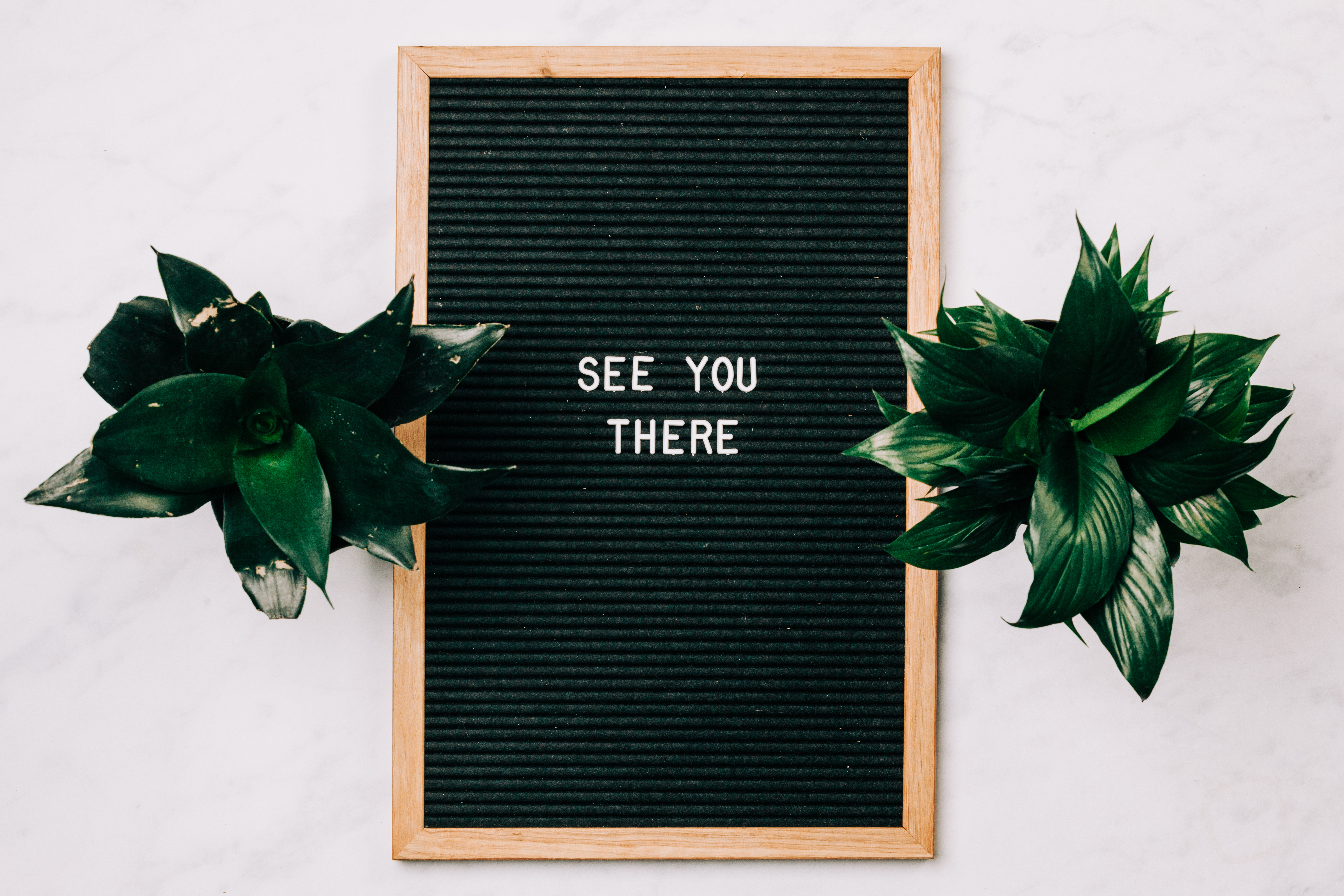 See You There See You There
