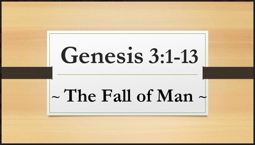 Genesis 3:1-13 - The Fall of Man: Naked and Afraid