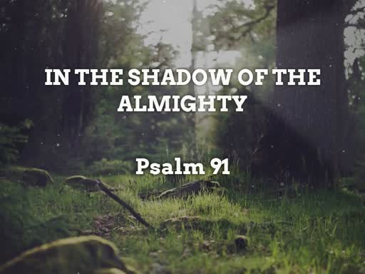 In the Shadow of the Almighty