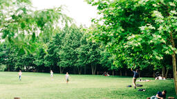 Family Playing Frisbee in the Park  image 3