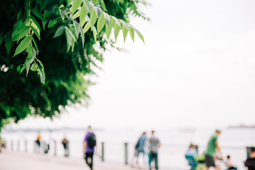 Waterfront Scene large preview