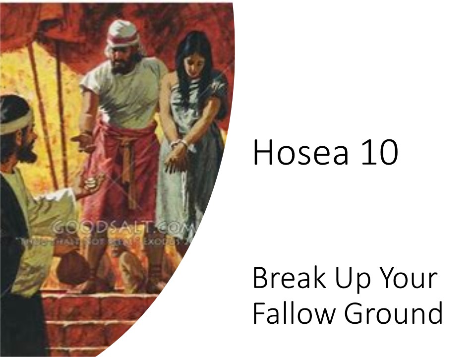 Scripture Fallow Ground Hosea 10 - Break Up Your Fallow Ground - Logos Sermons