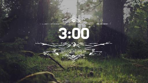 Summer Woods - Countdown 3 min