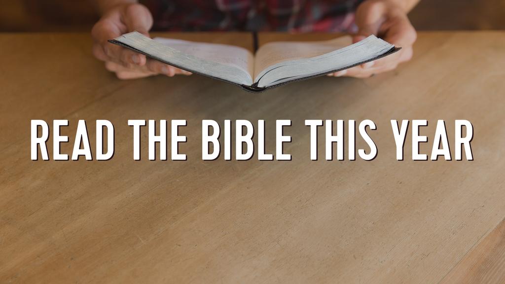 Read the Bible This Year large preview